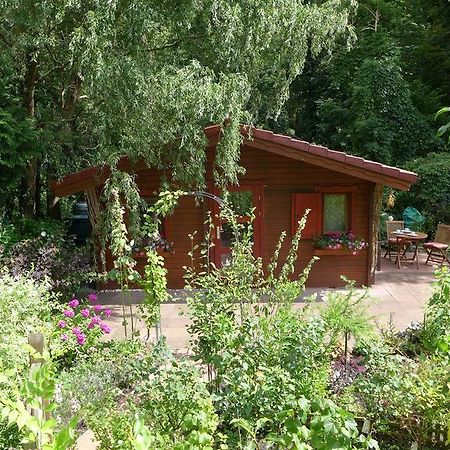 Ferienhaus Natura Neuruppin Phòng bức ảnh
