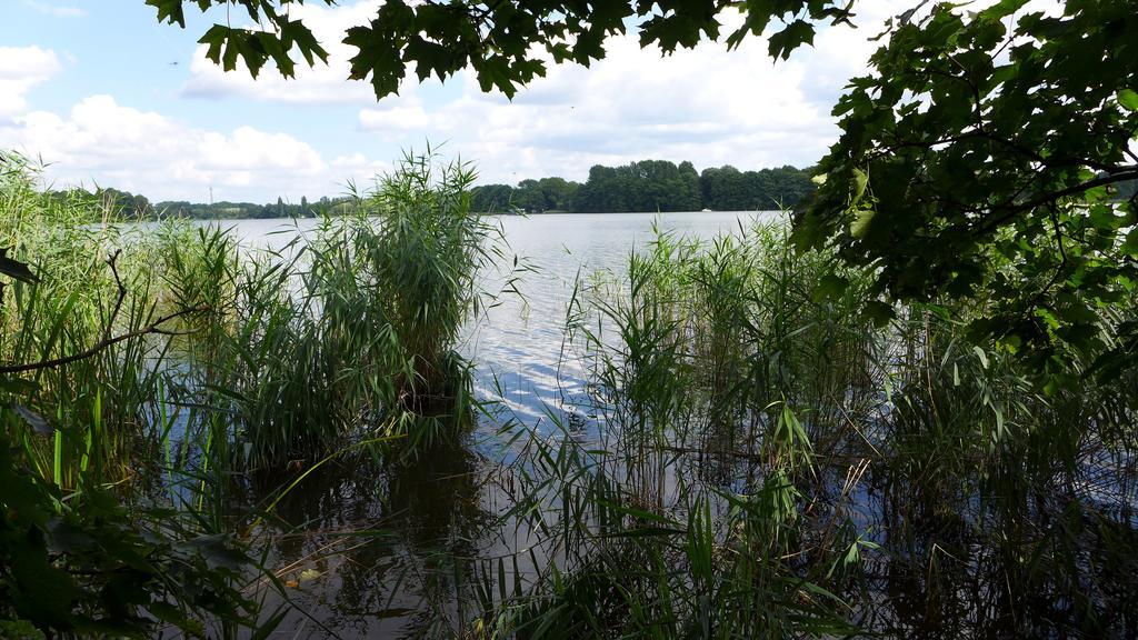 Ferienhaus Natura Neuruppin Phòng bức ảnh