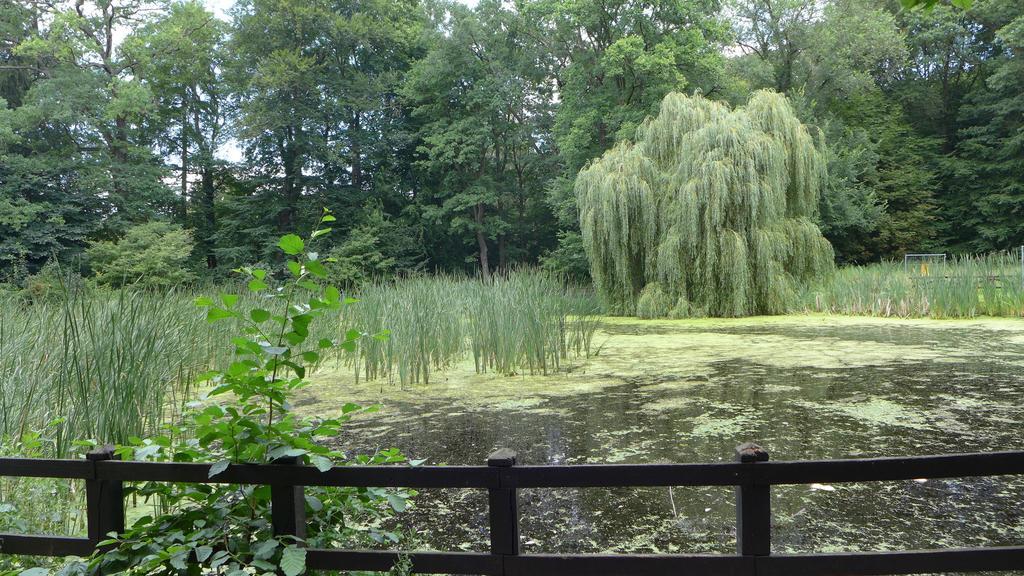 Ferienhaus Natura Neuruppin Phòng bức ảnh