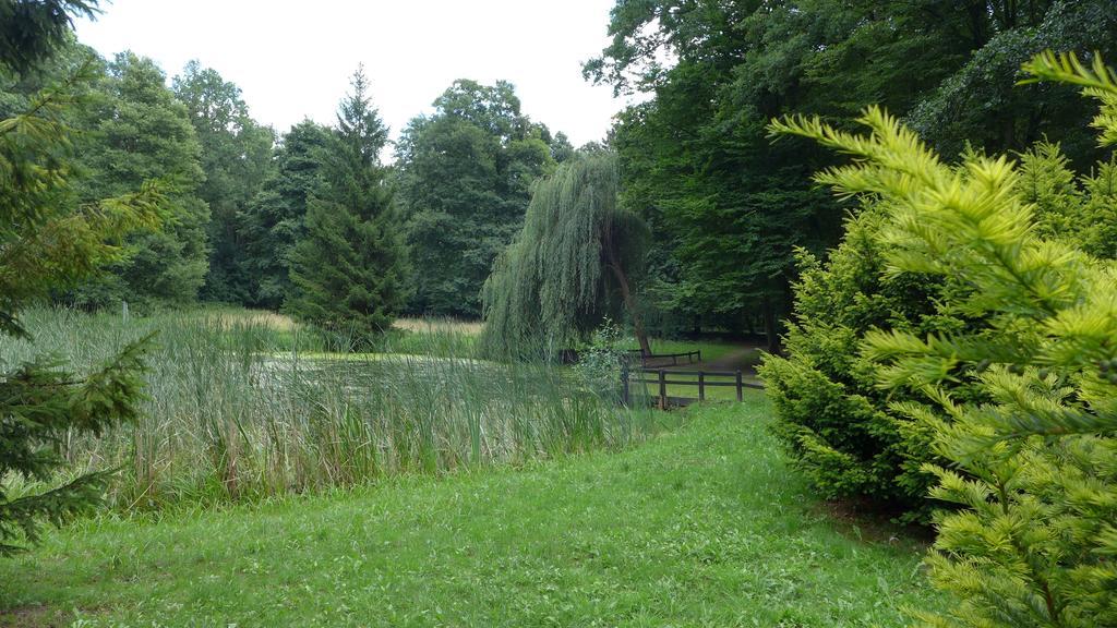 Ferienhaus Natura Neuruppin Phòng bức ảnh
