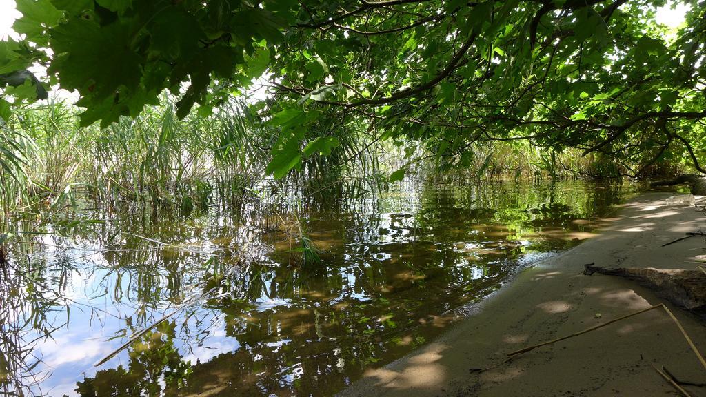 Ferienhaus Natura Neuruppin Phòng bức ảnh