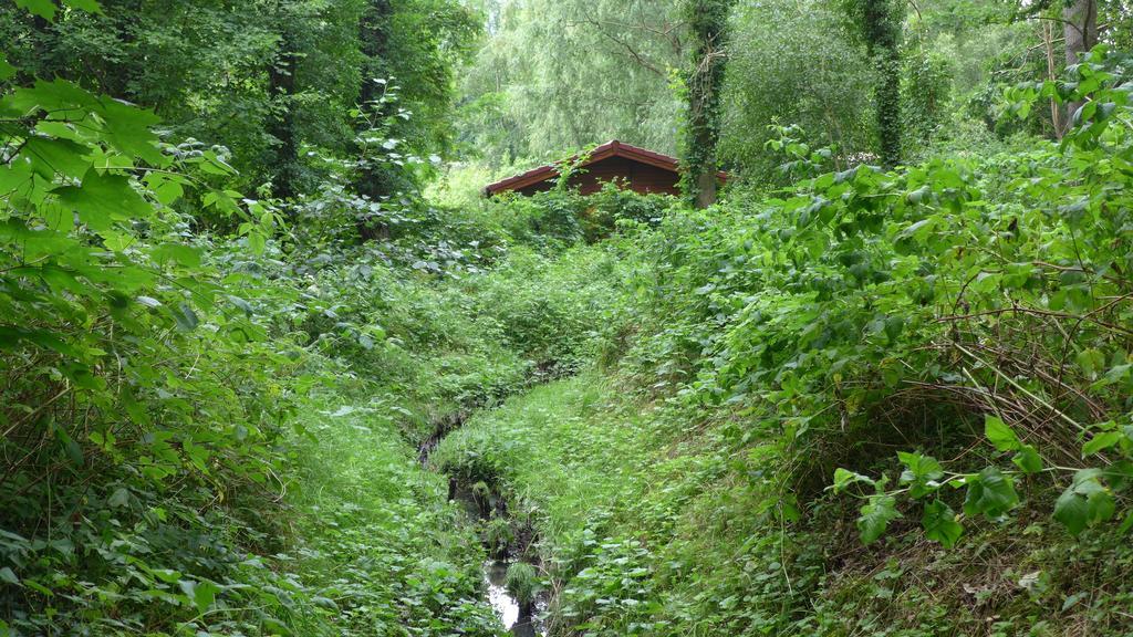 Ferienhaus Natura Neuruppin Phòng bức ảnh